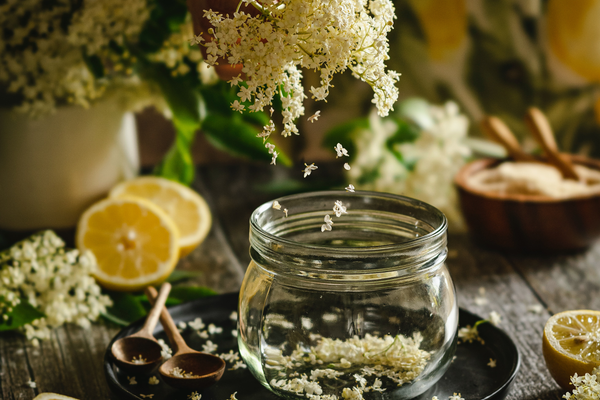 Elderberry or Elderflower. Are you making the right choice?